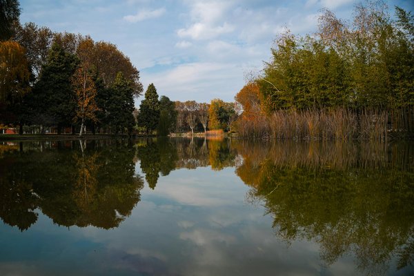 Masseur-kinésithérapeute : remplacements à paris en 2025