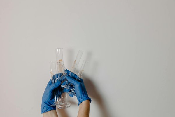 Le rôle des probiotiques dans la perte de poids