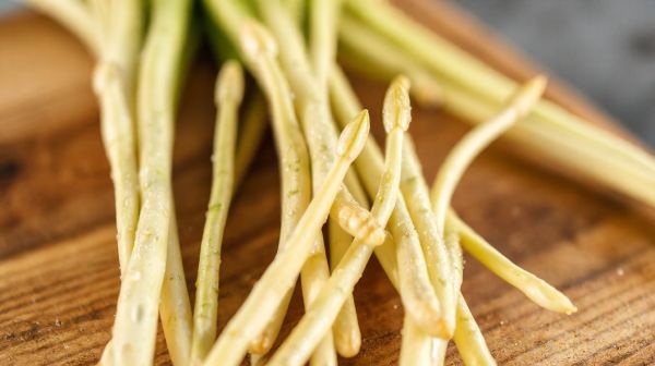 Découvrez les bienfaits nutritifs de la salicorne, l'asperge marine